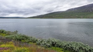 Islande à vélo 2014