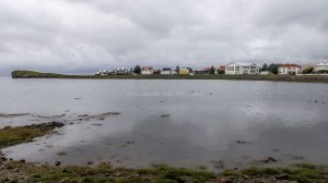 Islande à vélo 2014, visite de Hofn