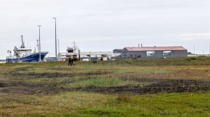 Islande à vélo 2014, visite de Hofn