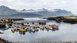 Islande à vélo 2014, port de Djupivogur en Islande