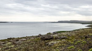 Islande à vélo 2014, fjord Berufjordur en Islande
