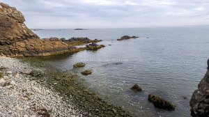 Islande à vélo 2014, bivouac au pied d'un fjord de l'Est de l'Islande