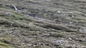 Islande à vélo 2014, la route vers Egilsstadir