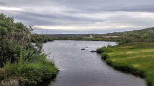 Islande à vélo 2014, le lac de Myvatn