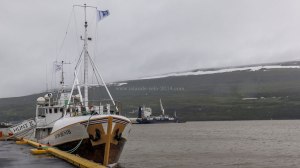 Islande à vélo 2014, port de Akureyri