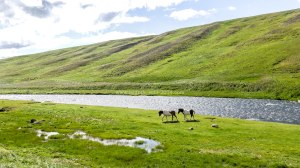 Islande à vélo 2014 en direction de la F35