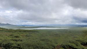 Islande à vélo 2014, le pingvallavatn