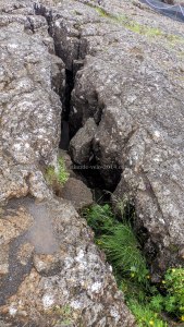 Islande à vélo 2014, faille à Pingvellir