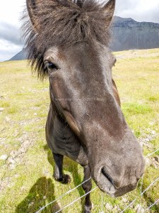 Islande à vélo 2014