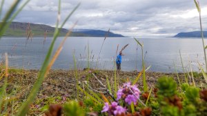 Islande à vélo 2014, au pied du Hvallfjordur