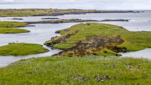 Islande à vélo 2014 sur une aire de repos durant les derniers kilométres en direction de Kelfavik