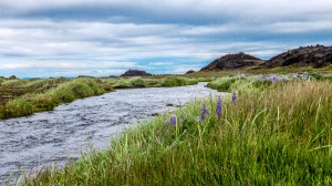 Islande à vélo 2014, route vers l'Est