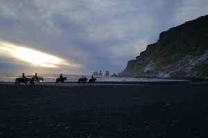 Chevaux sur la plage de Vik, en Islande à vélo en hiver
