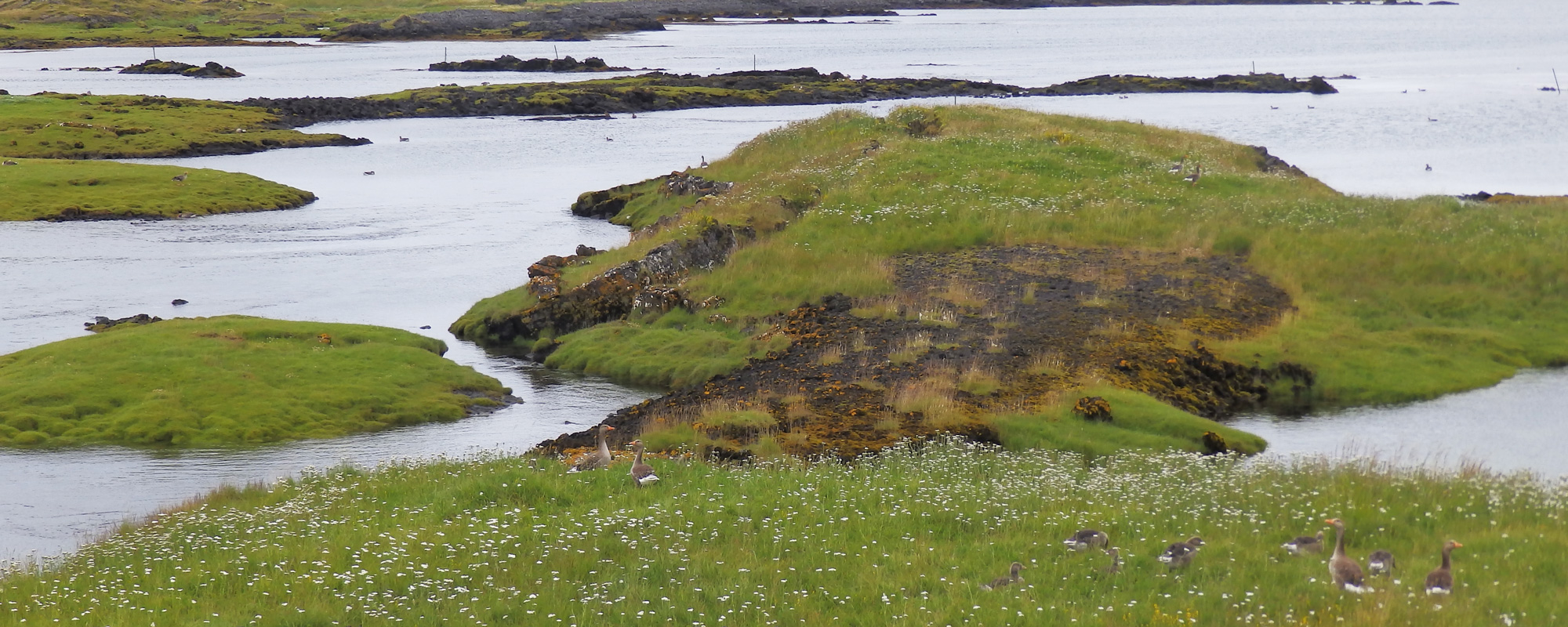 Les dernières heures en Islande à vélo en 2014, sur la route en direction de l'aéroport de Keflavik